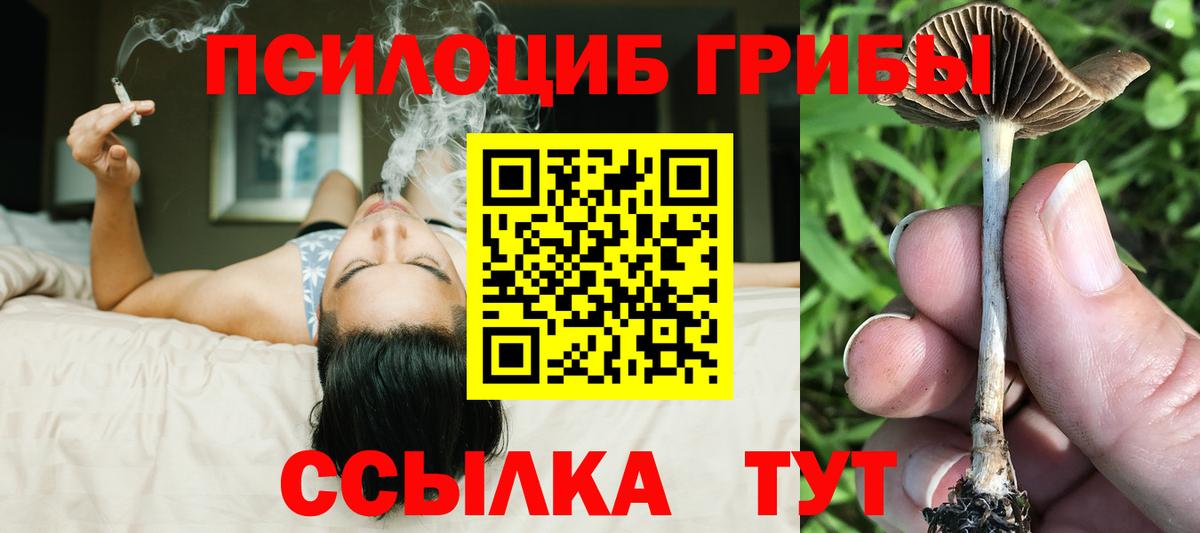 Псилоцибиновые грибы прущие грибы  Галлюциногенные грибы Psilocybe  Волоколамск  Вход с VPN 